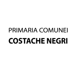 Primăria Costache Negri